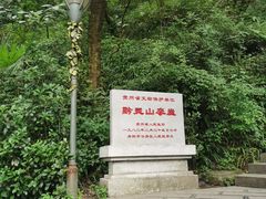 -黔灵山公园