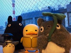 -三鹰之森吉卜力美术馆