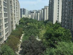 唐隆国际酒店(雁南四路店)-西安唐隆国际酒店(大雁塔大唐不夜城店)