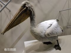 -中国湿地博物馆
