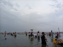 -碧海金沙