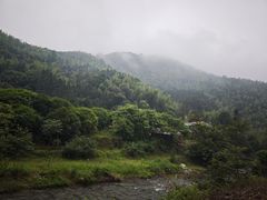 -长沙黑麋峰国家森林公园