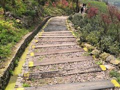 -十九峰景区-倒脱靴