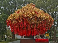 -狼山风景名胜区