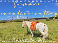 -塞罕坝国家级自然保护区