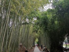 -龙华烈士纪念馆-停车场
