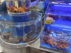 -新海渔港·胶东海鲜家常菜·家宴(奥体中心店)
