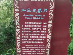 -阳台山自然风景区