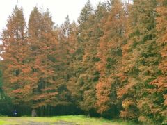 -山王坪喀斯特国家生态公园