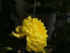 -杭州植物园
