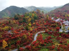 -四明山国家森林公园