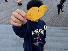 -天鹅湖体育公园