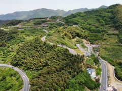 -四明山国家森林公园