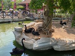 -灵玲国际马戏城