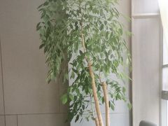 -怡情荟•海鲜青岛菜(五四广场旗舰店)
