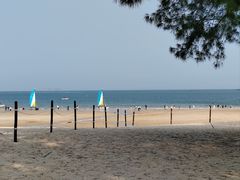 -坛南湾阿强农家乐.海鲜大排档老字号(福州地标美食店)