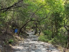 -阳台山自然风景区