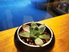 -Peet's Coffee皮爷咖啡(豫园店)