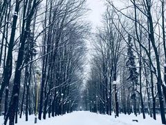 -莫斯科大学