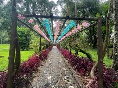 -莫里热带雨林景区