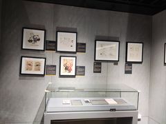 -上海动漫博物馆