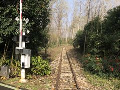 -合肥滨湖国家森林公园