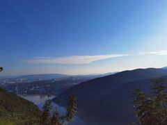 -铁山坪森林公园