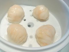 笋尖鲜虾饺-粤界(望京金辉店)