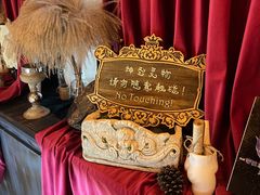-雪灵魔法世界SHELLY’S TAROT(大良桂畔里店)