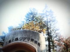 -三鹰之森吉卜力美术馆