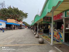 -大湾区中央湿地公园-十九涌