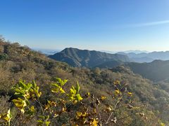 -大岭沟猕猴桃谷风景区