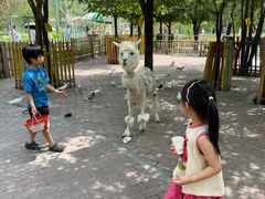 -水上乐园·欢乐世界