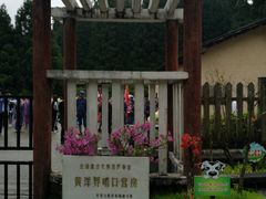 -井冈山风景名胜区-黄洋界