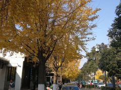 -熙盛源(凤凰街店)