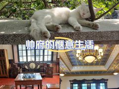 -张学良旧居陈列馆