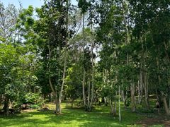 -中国科学院西双版纳热带植物园