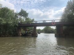 -溱湖国家湿地公园