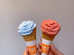 -iceason爱茜茜里·意大利健康冰淇淋(骑龙巷店)