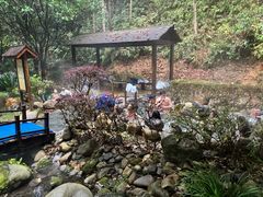 -明月山天沐温泉度假村