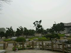 android_upload_pic-中国唐苑