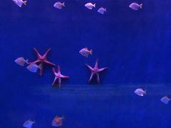 -沈阳海洋探索中心