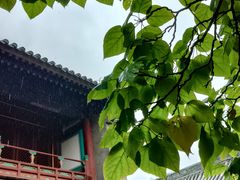 -四喜小胖·北京涮肉(五道营店)