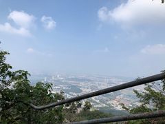 -紫金山山顶公园