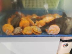 -长平肥姐白粥·海鲜打冷