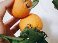 -乐乐鲜果水果超市(河北店)