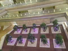 -南京禄口机场雅高铂尔曼大酒店