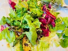 -北京古城老院厉晓麟精致菜