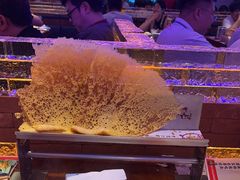 -山河屯铁锅炖(哈西站店)