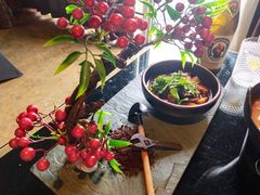 -魔厨私房菜(观音桥店)